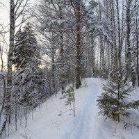 В сумраке декабря. :: Андрей Дурапов