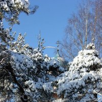 Зимний день :: Сергей Кочнев
