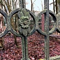 Чугунный узор :: Veera V