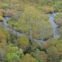 Вид с Бирюлинского моста на речку Бирюля :: Владимир Кириченко