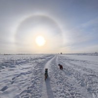 На прогулку :: Anna Ivanova