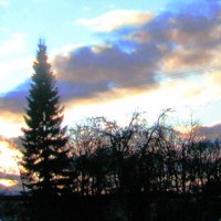 Декабрьский денёк :: Людмила Смородинская