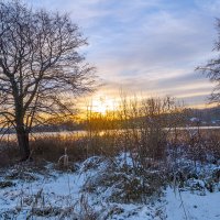 Утро :: Сергей Цветков Утро :: Сергей Цветков
