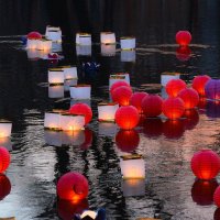 Водные фонарики :: Валерий Пославский