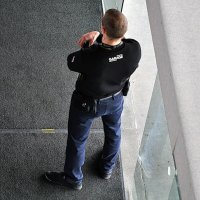 Охранник при "Гараже" :: Анатолий Колосов