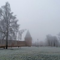 Туманное, декабрьское утро. :: Милешкин Владимир Алексеевич 