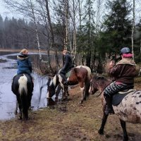 На водопое. :: Ольга 