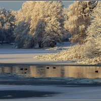 *** :: Aleksandr Gal