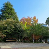 Адлер... ноябрь... :: Нина Бутко