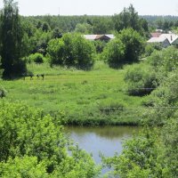 Лето в Подмосковье :: Дмитрий Никитин
