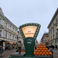 Может в апельсинах  легче? :: ИРЭН@ .