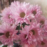 Нежность :: Елена Семигина