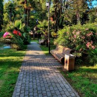 В парке всех влюблённых. Хоста :: Mikhail Irtyshskiy