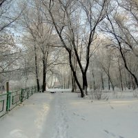 Зимними дорожками. :: nadyasilyuk Вознюк Зимними дорожками. :: nadyasilyuk Вознюк