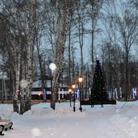 Зима :: Венера Чуйкова