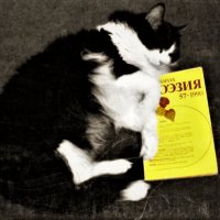 Читатель :: Nora Nowhere