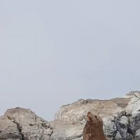 В гостях у морских жителей :: Марина 