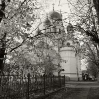 Церкви Северо-Запада :: Наталья 