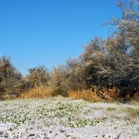 Декабрь. :: Владимир 