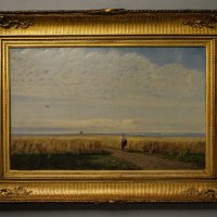 Степь. Нива. :: Ирина Соловьёва