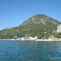 Природа Крыма :: Amazing Cosmea