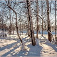 «Мороз и солнце; день чудесный!» :: Aquarius - Сергей «Мороз и солнце; день чудесный!» :: Aquarius - Сергей