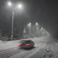 ... :: Жора Житников