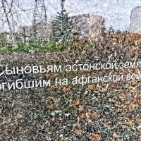 Память :: Veera V