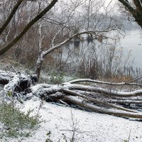 Новы Двур Мазовецки р.Нарев :: Светлана Ищенко