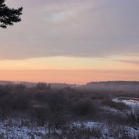 Зимнее утро :: Любовь Сахарова