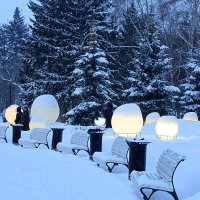 Зимний Первомайский сквер :: Татьяна Лютаева