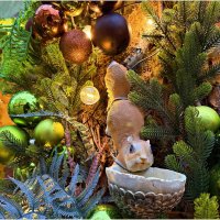 На улочках Зеленоградска. :: Валерия Комова