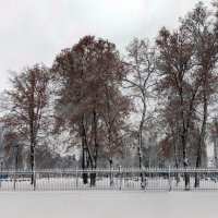 *** :: Валентина Береснева