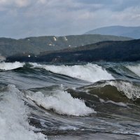 ....ветреный день... :: Александр Герасенков