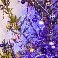 Новогодняя ель :: Юлия Денискина