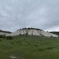 Природа Крыма :: Amazing Cosmea