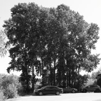 Фотография :: Денис Безногов