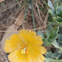 октябрь у Чёрного моря :: Елена Шаламова