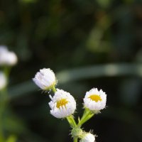 *** :: Александр. AVG100 --- *** :: Александр. AVG100 ---