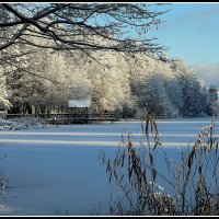 *** :: Aleksandr Gal