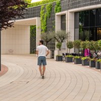 В парке Галицкого :: Игорь Сикорский