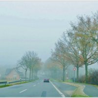 ТУМАН... :: Elvira E. 