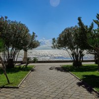 красота :: Александр Леонов