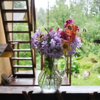 У природы нет плохой погоды? :: AleksSPb Лесниченко