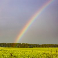 РАДУГА :: Екатерина Счасная РАДУГА :: Екатерина Счасная