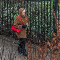 Снег в спину. :: Анатолий. Chesnavik.