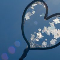 Мороз художник  нарисовал :: Римма Волченко