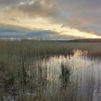 *** :: Ольга Попова (popova/j2011)