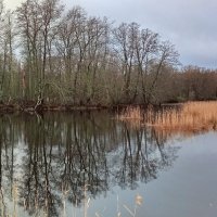 *** :: Ольга Попова (popova/j2011) *** :: Ольга Попова (popova/j2011)