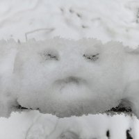 задремал :: Владимир 